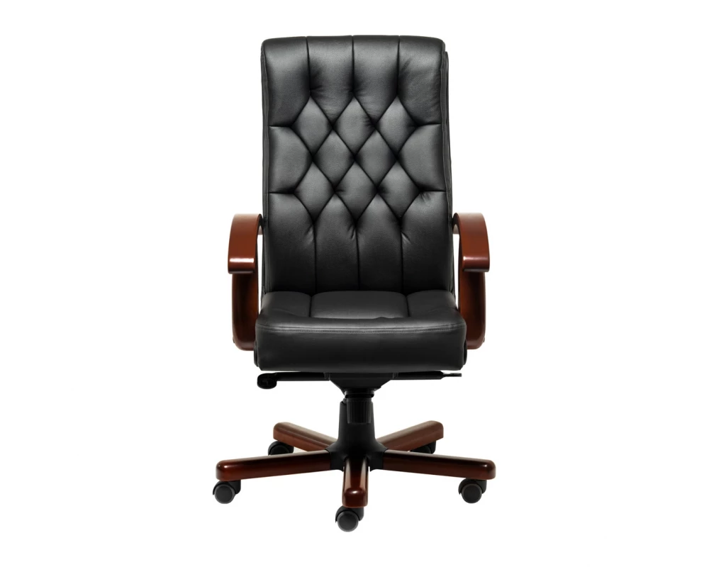 Кресло Darwin B