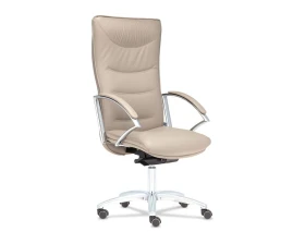 Кресло Teodor D100 images