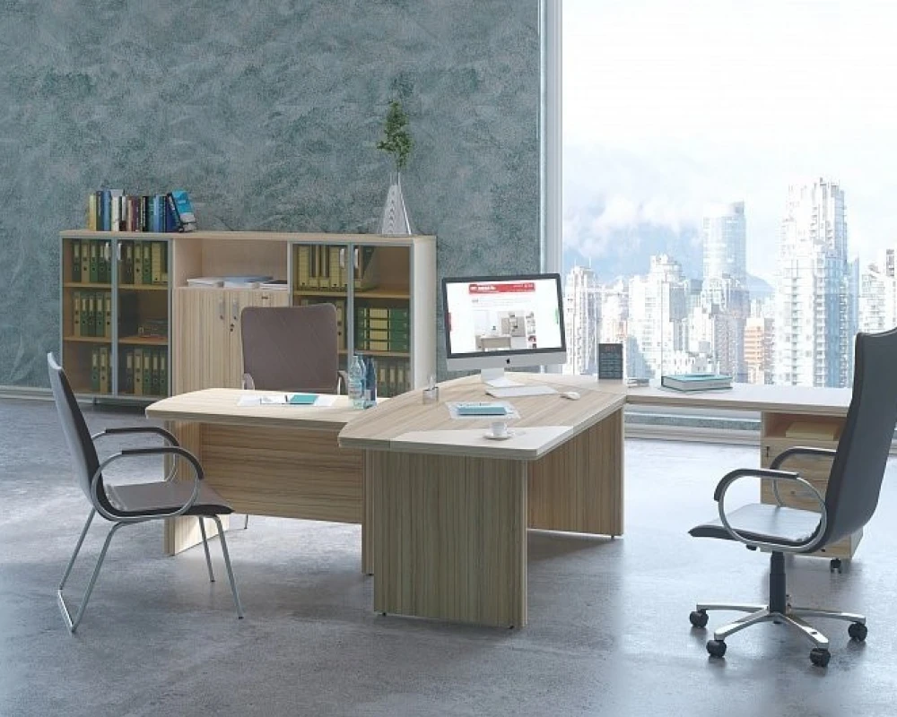 Кабинет руководителя Берлин Директор