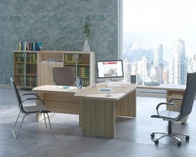 Кабинет руководителя Берлин Директор images