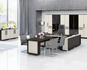 Кабинет руководителя Грейс / Grace images