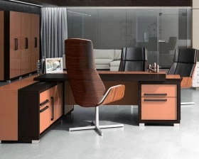 Кабинет руководителя Грейс / Grace images