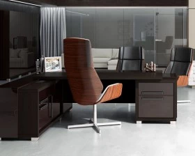 Кабинет руководителя Грейс / Grace images