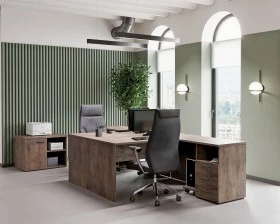 Кабинет руководителя Лемо / Lemo images