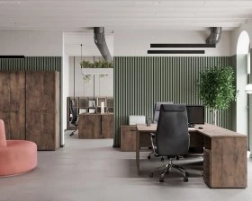 Кабинет руководителя Лемо / Lemo images