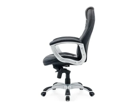 Кресло Bruny 2183Н Экокожа, Черный images