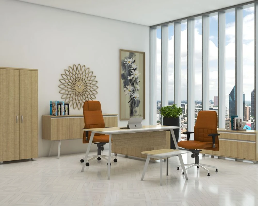 Кабинет руководителя Планета