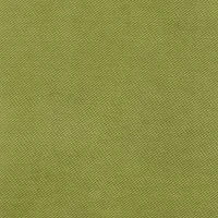 verona 38 apple green